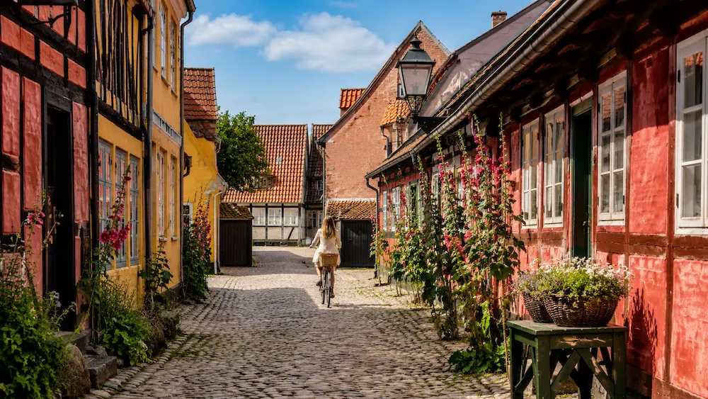 Mystisk tågeskov på en naturdestination